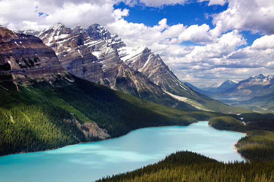 Peyto Lake in Jasper Photograph by Julius Reque