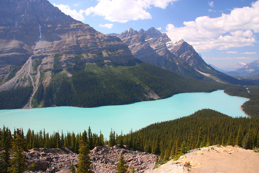 Peyto Lake Photograph by Philip Neelamegam | Fine Art America