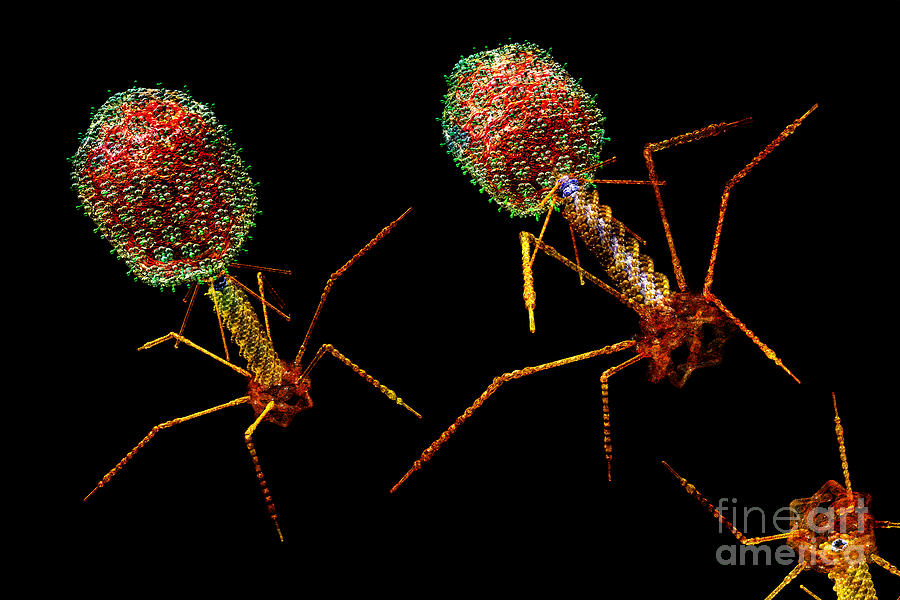 Bacteria Digital Art - PHAGE Group Bright 1 by Russell Kightley