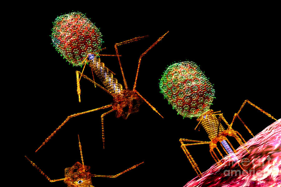 PHAGE Group Bright 2 Digital Art by Russell Kightley