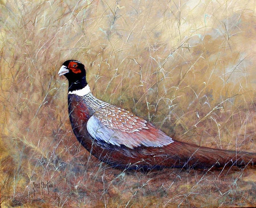 Pheasant in the Grass Painting by Gary Partin