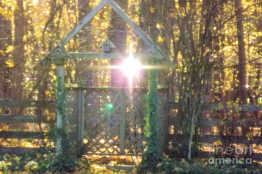 Cross In The Woods Photograph - Phenomenon by Judy Via-Wolff