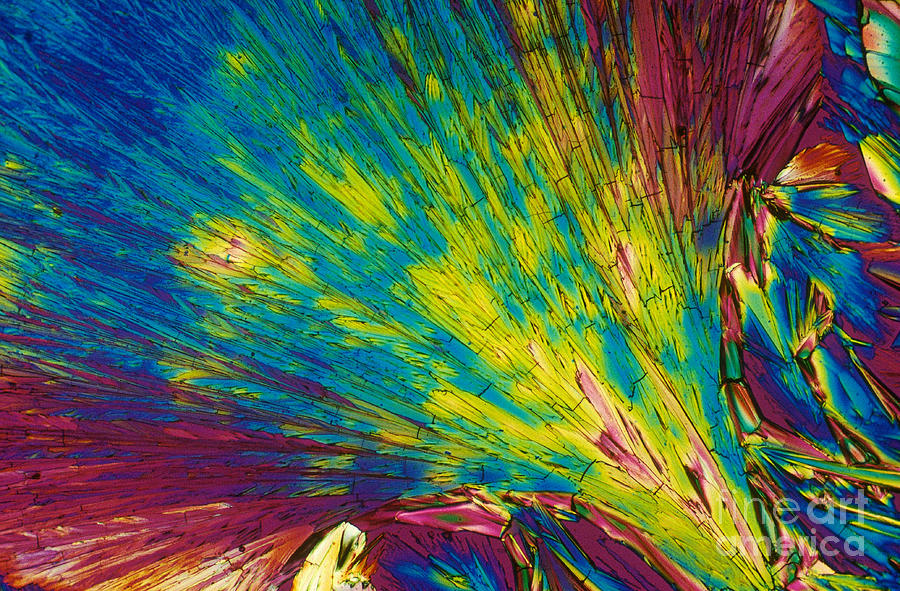 Light Micrograph Photograph - Phenylalanine by Michael W. Davidson