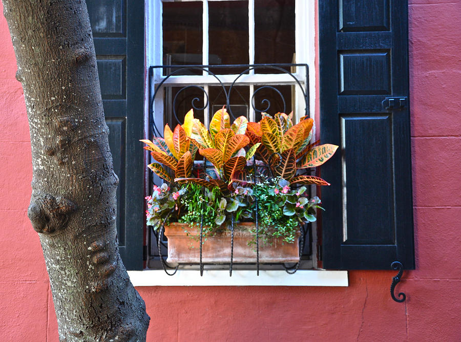 Philadelphia Alley Window Box Photograph by Lori Kesten