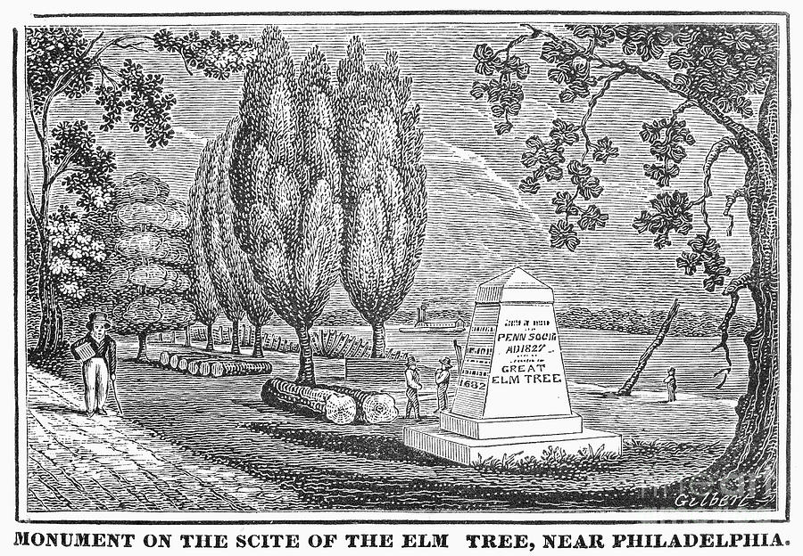 Philadelphia: Elm Monument Photograph by Granger