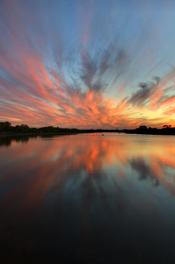 Phoenix Rising Photograph by Matias Alvarado