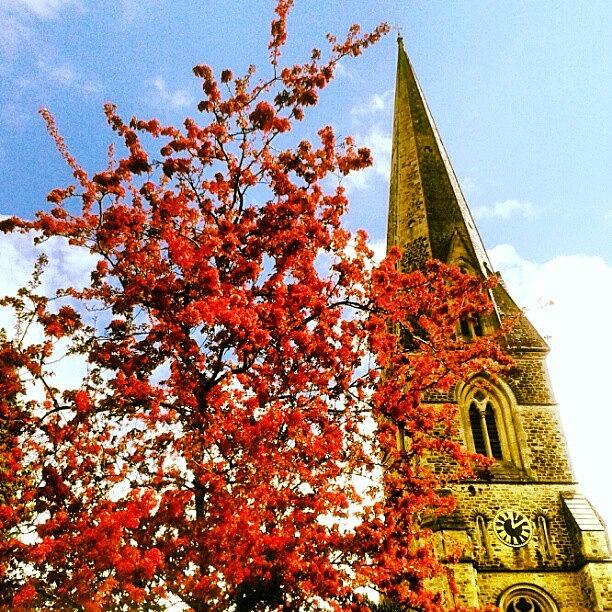 Swindon Photograph - Photo: #christchurch #cherryblossom by Steve Cox