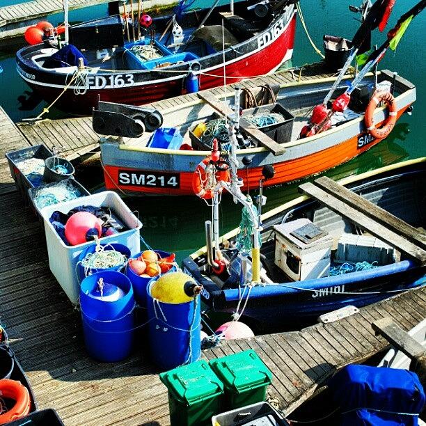Photo: Colourful Fishing Boats Photograph by Steve Cox