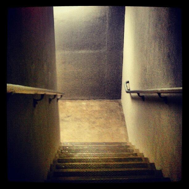 Down Photograph - #photoadayaug #down Stairs by Greta Olivas