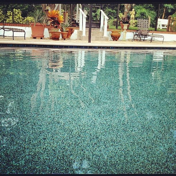 Flower Photograph - #photoadayjuly #photoaday #july #pool by Brittany Hoffman