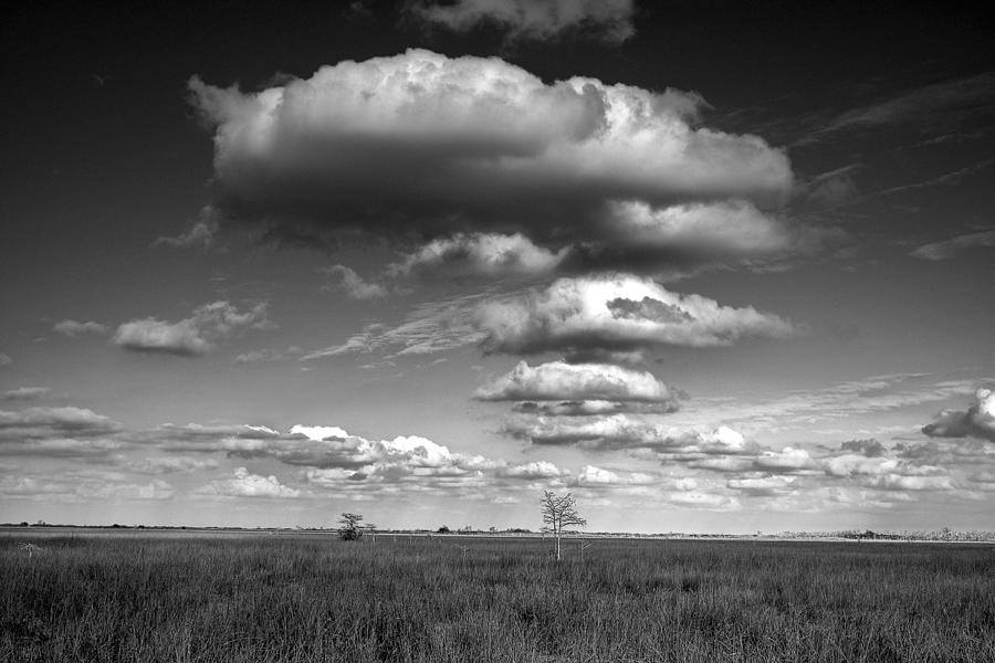 Photograph of a Cloud Formation over the Everglades Photograph by Randall Nyhof