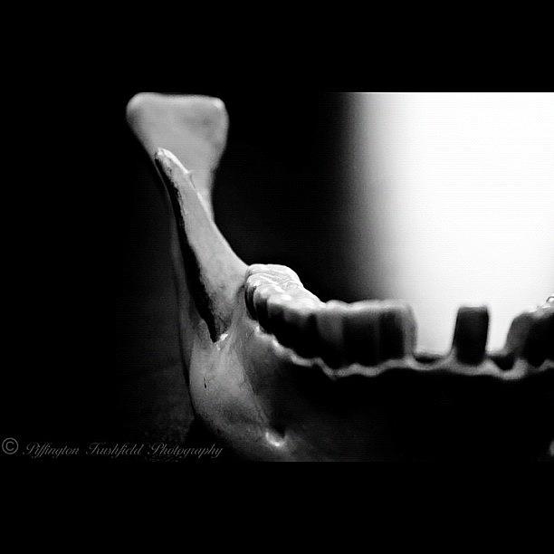 Death Photograph - #photography #teeth #jaw #death #bnw by Mr Kushfield