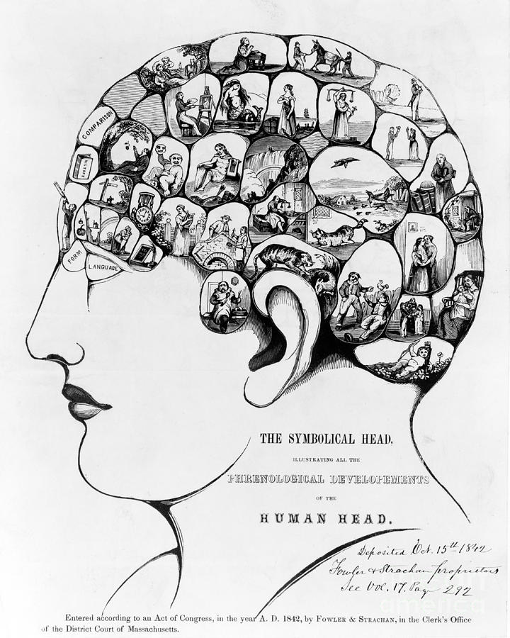 Phrenology, The Symbolical Head, 1842 Photograph by Science Source