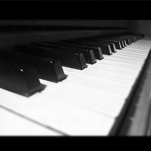 Music Photograph - #piano #love #passion #ivory by Cai King-Young
