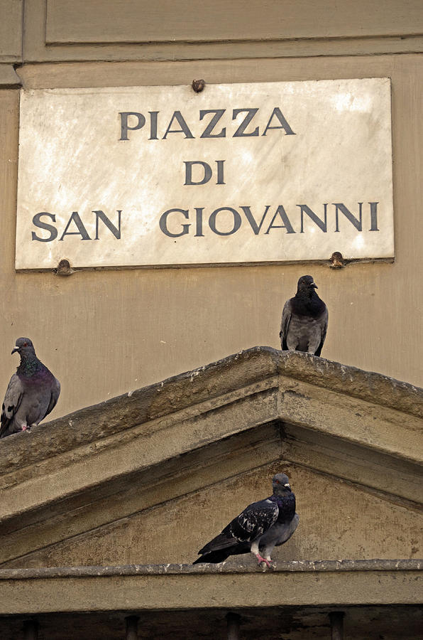Piazza Photograph by La Dolce Vita