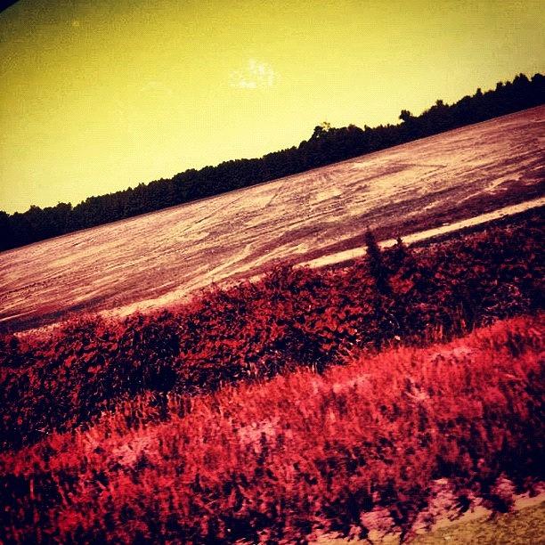 Beautiful Photograph - Pic While Driving by Katie Williams Beautiful Photograph - Pic While Driving by Katie Williams