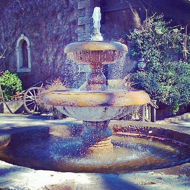 Fountain Photograph - Picnic In Napa, Ca #fountain #napa_ca by Anna Porter