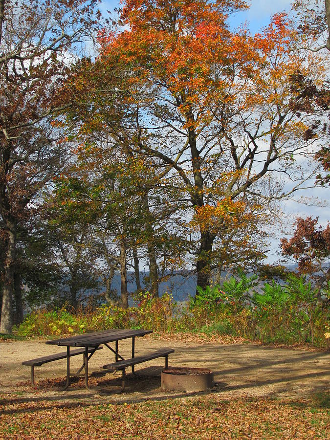 Picnic Table in Fall Photograph by Anita Burgermeister