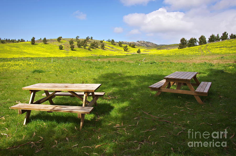 Landscape Photograph - Picnic tables by Carlos Caetano