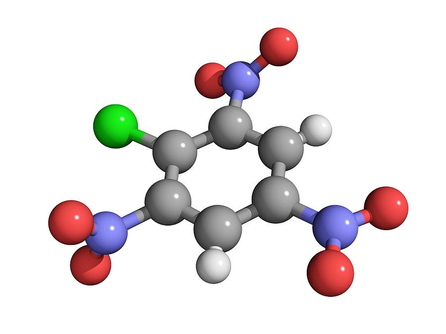 Picryl Chloride Explosive Molecule Photograph by Laguna Design - Fine ...