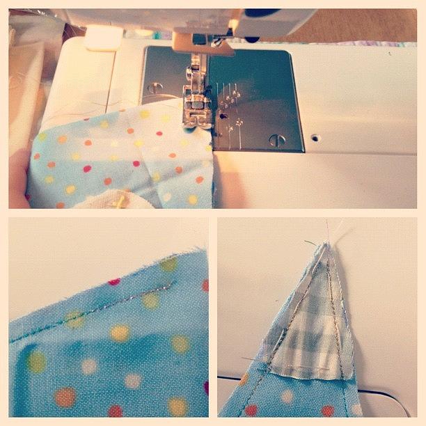 Bunting Photograph - #picstitch #collage #sewing #sewn by Grace Shine