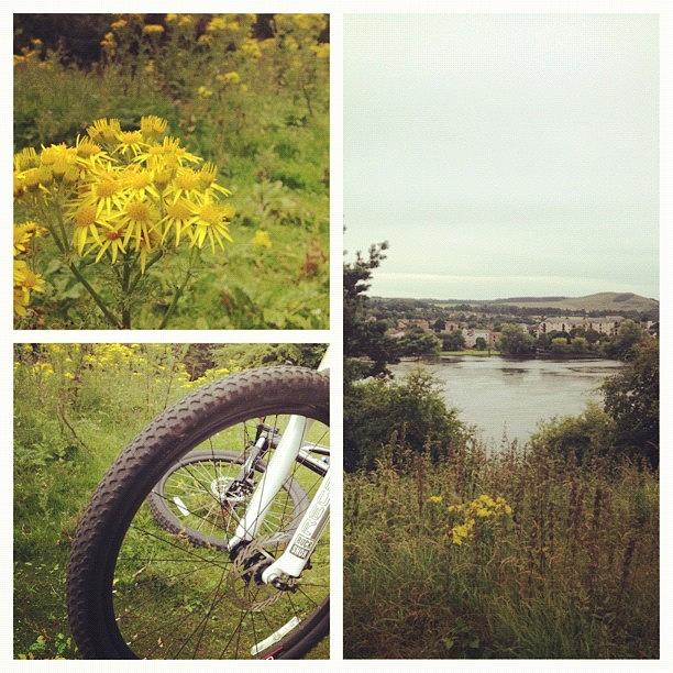 Flowers Still Life Photograph - #picstitch #cycle #exercise #bike #loch by Grace Shine