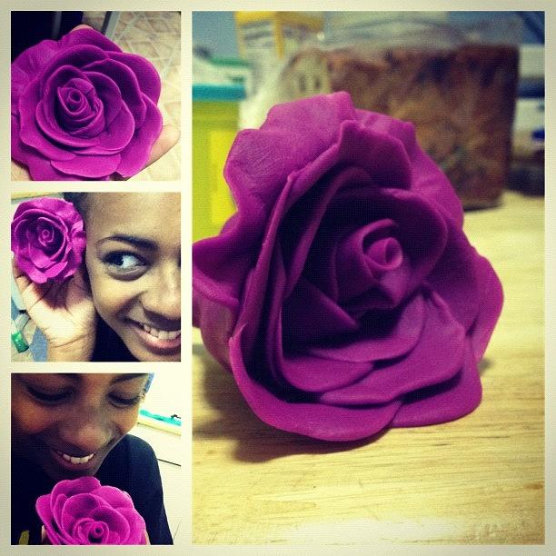 Flower Photograph - #picstitch: First Play-doh Creation 🌹 by Erica Graves