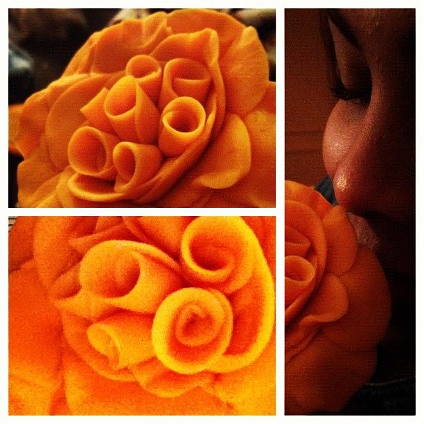 Nature Photograph - #picstitch Orange Bliss by Erica Graves