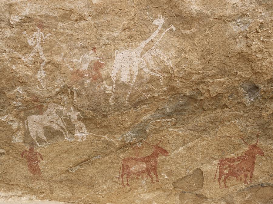 Pictograph Of Humans And Animals, Libya Photograph by David Parker