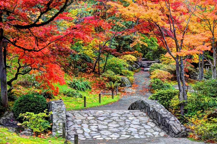 Japanese Garden Photograph - Piece of Heaven by Sarai Rachel Japanese Garden Photograph - Piece of Heaven by Sarai Rachel
