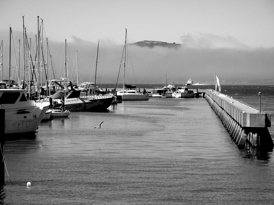 Pier 39 Photograph