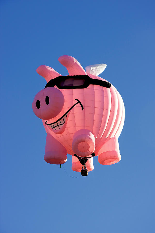 Pig Flying Balloon Photograph by Joe Myeress