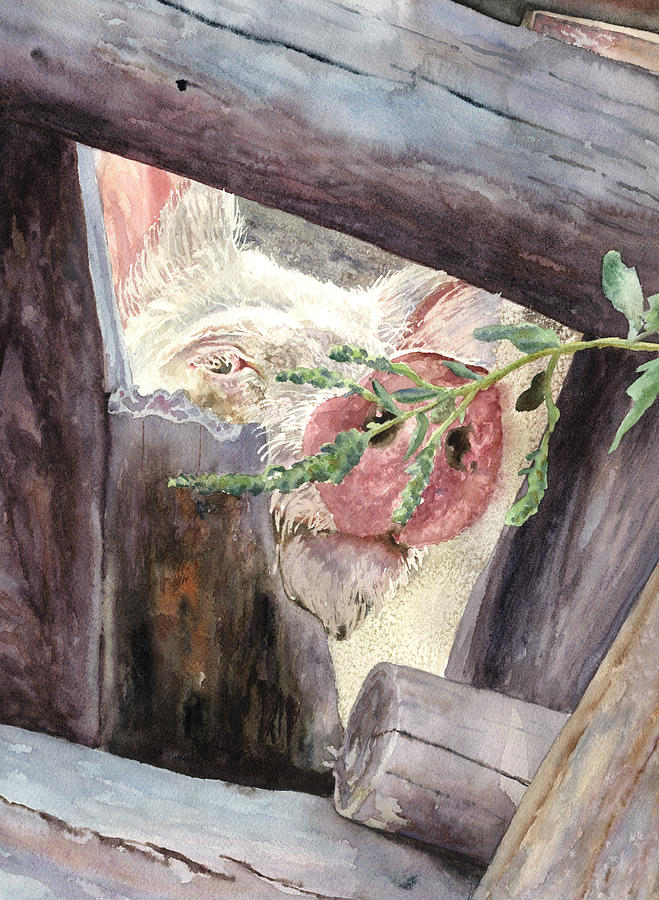 Pig Peeking Through a Fence Painting by Anne Gifford