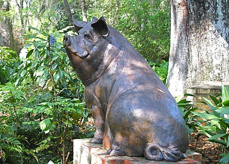 Pig Smelling Flower Sculpture Photograph by Jeanne Juhos