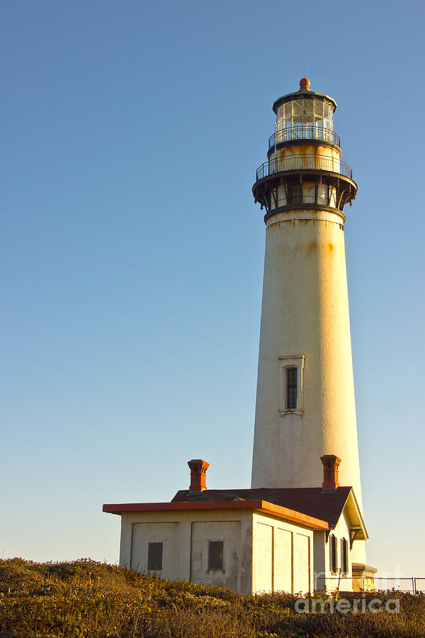Pigeon Point Lighthouse Photograph by Paul Topp