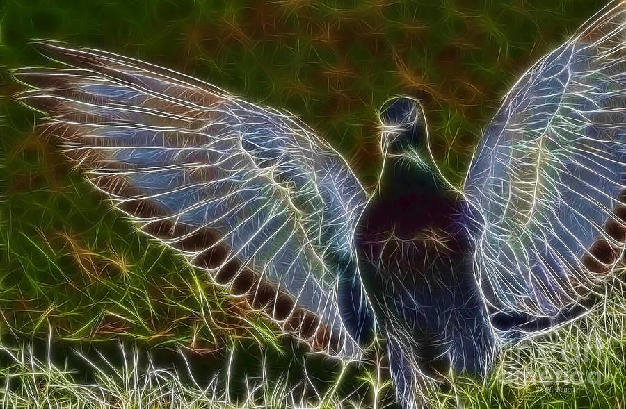 Pigeon Photograph - Pigeon Spirit by Deborah Benoit