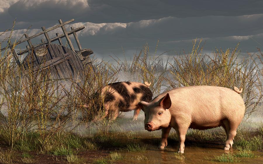 Pigs After A Storm Digital Art by Daniel Eskridge