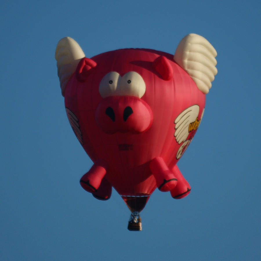 Pigs Do Fly Photograph by Ernest Echols