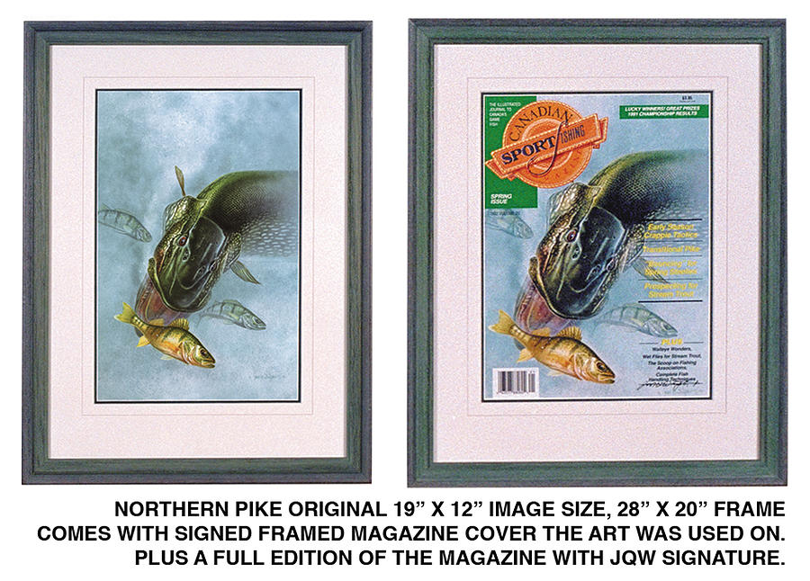 Fish Painting - Pike Fishing original and Magazine by JQ Licensing