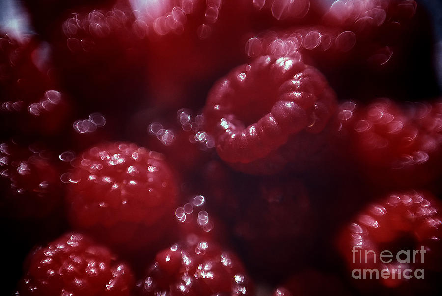 Pile of Red Raspberries Photograph by Janeen Wassink Searles