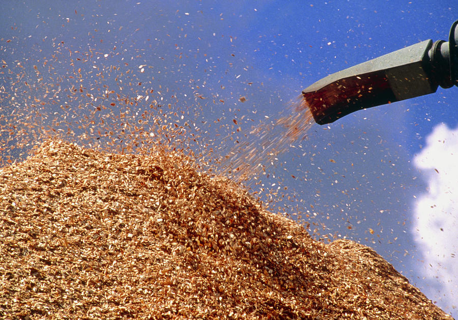 Pile Of Woodchips At A Sawmill Photograph By David Nunuk