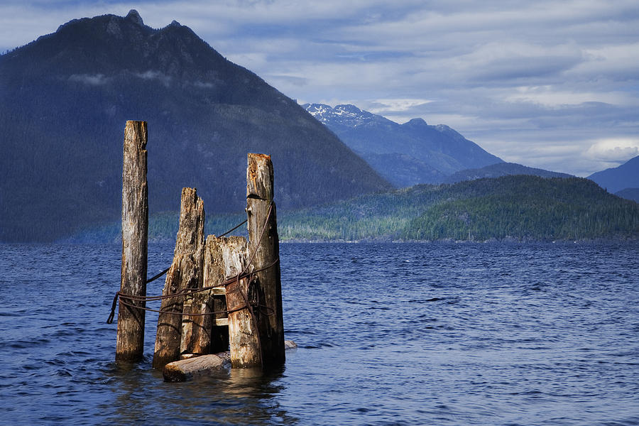 Mountain Photograph - Pilings in a Lake on Vancouver Island by Randall Nyhof