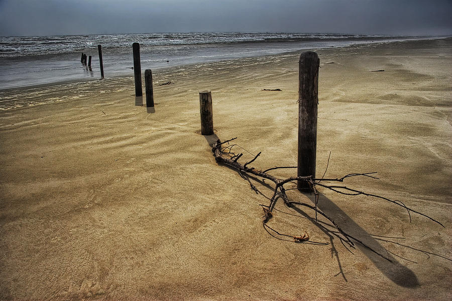 Pilings on a beach at Padre Island National Seashore  Photograph by Randall Nyhof