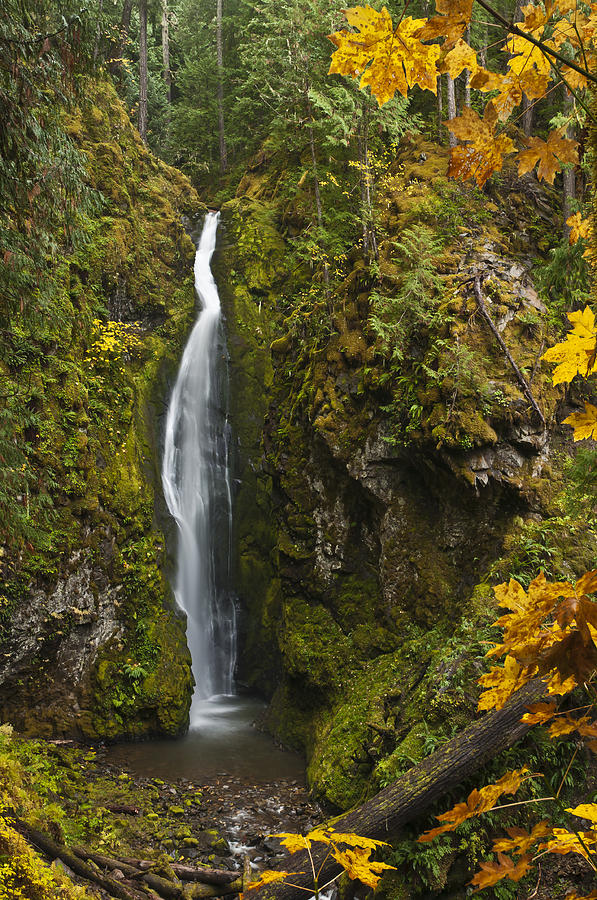 Waterfall Photograph - Pinard Falls by Greg Vaughn