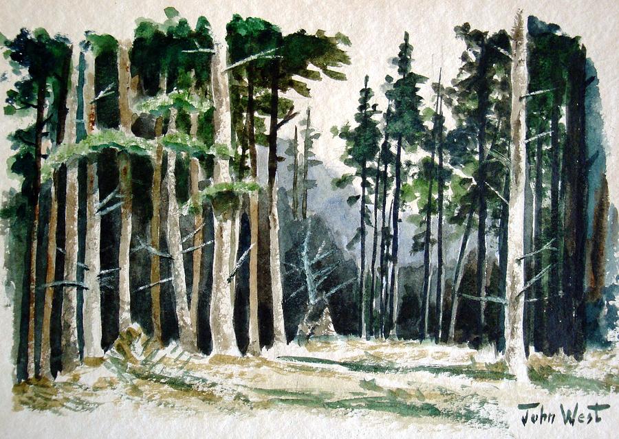 Pine Forest Painting by John West