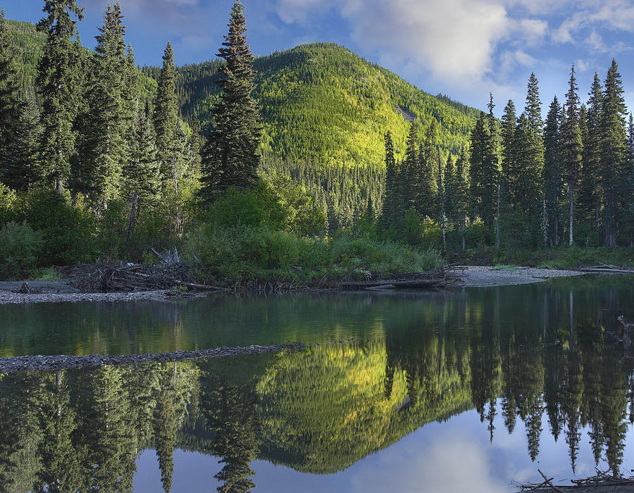 Pine River Hart Ranges British Columbia Photograph by Tim Fitzharris
