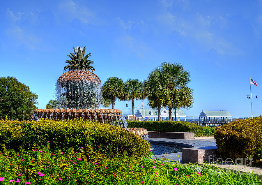 Pineapple Fountain At Charleston Photograph by Kathy Baccari