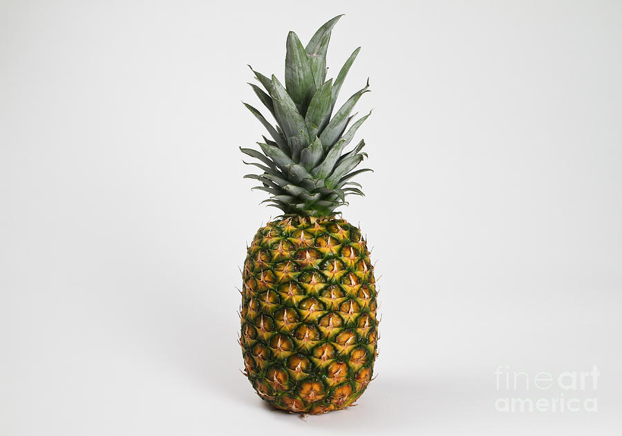 Fruit Photograph - Pineapple by Photo Researchers, Inc.