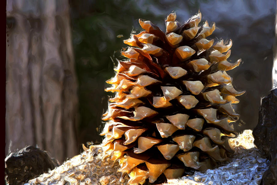 Pinecone Photograph - The Pine Cone.  by Gilbert Artiaga