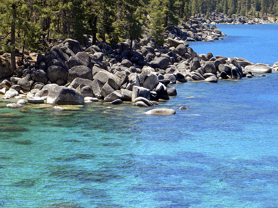 Pines Boulders And Crystal Waters Of Lake Tahoe Photograph by Frank Wilson